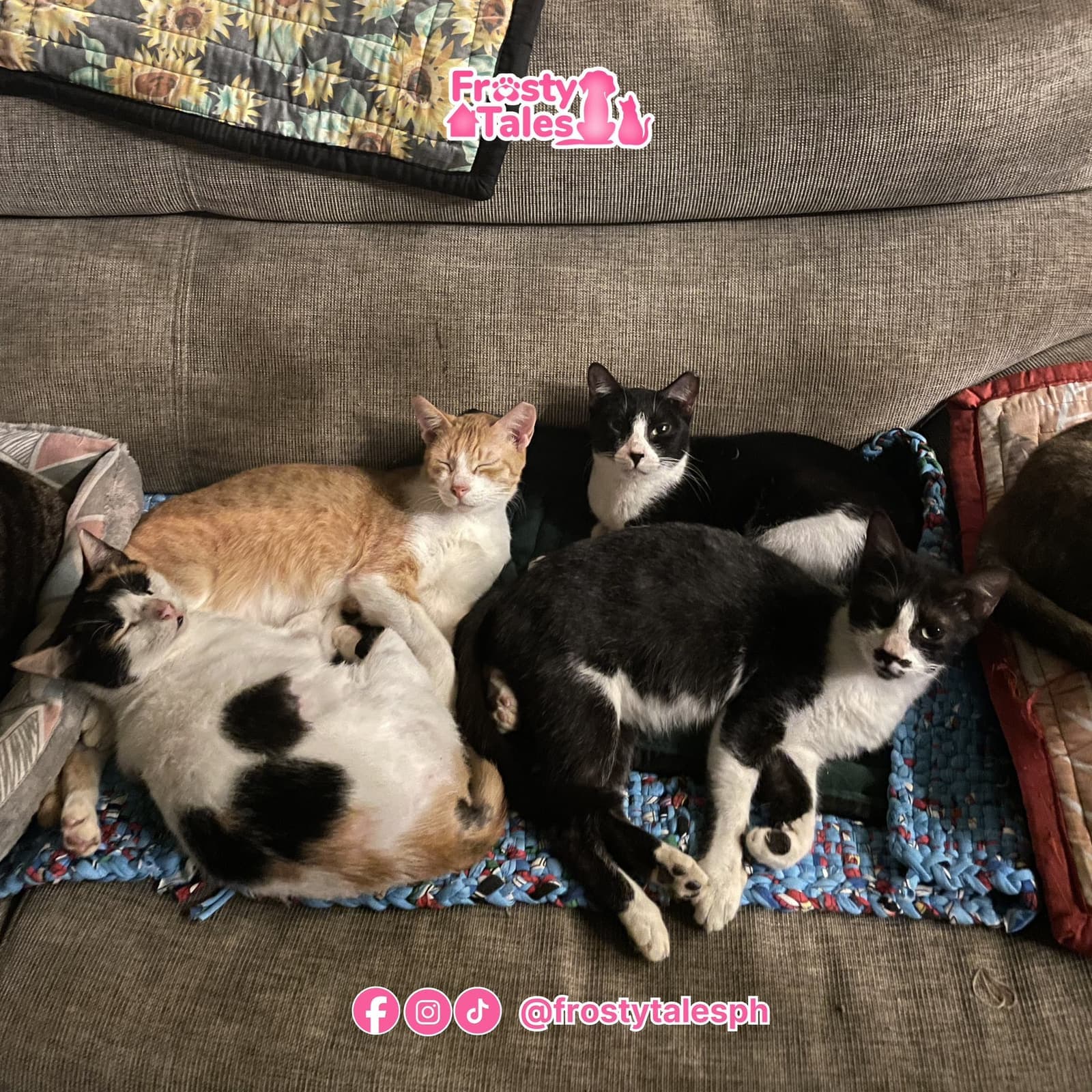 Sanctuary banner highlight