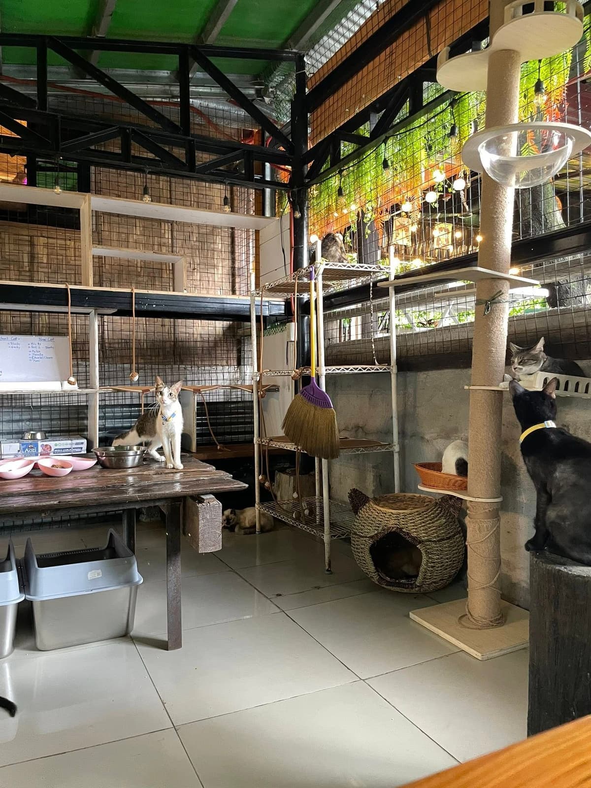 Cafe ambiance banner