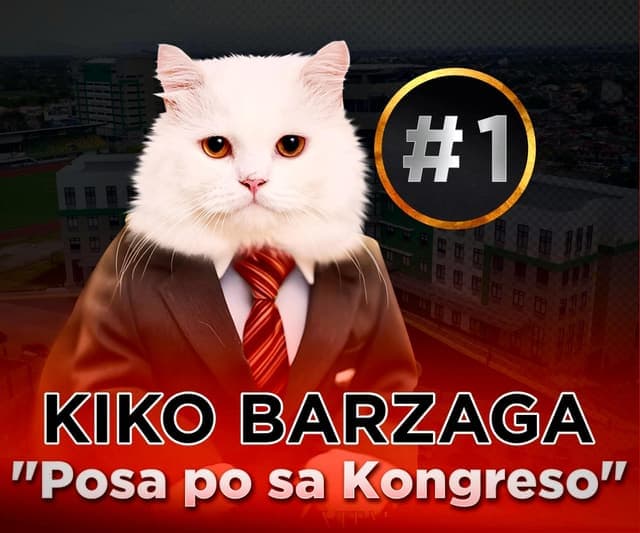 Cong. Kiko Barzaga logo